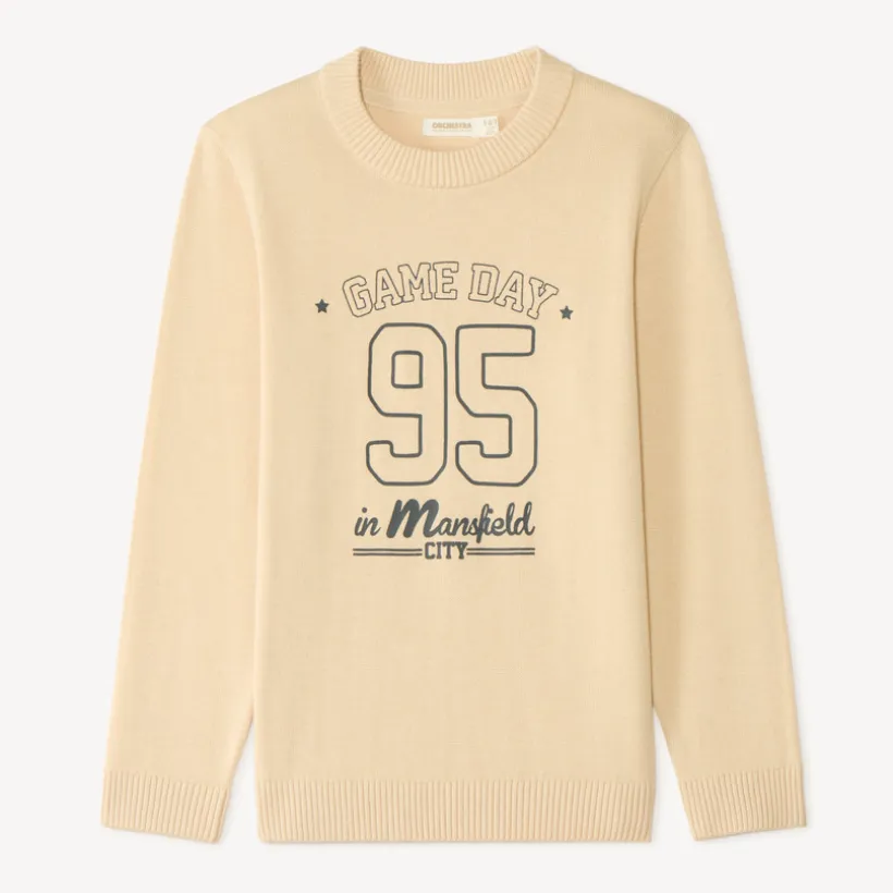 Pull garçon manches longues en tricot imprimé fantaisie