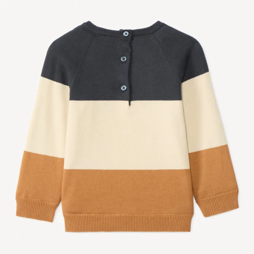 Pull ludique chien en tricot tricolore pour bébé garçon
