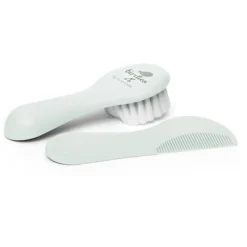 Set brosse et peigne Birdies