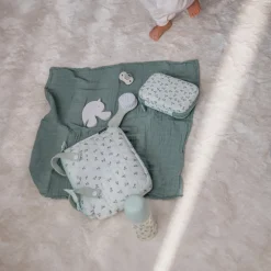 Set brosse et peigne Birdies