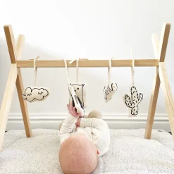 Set de 5 jouets à accrocher compatible Tipi Play Gym - 5 motifs
