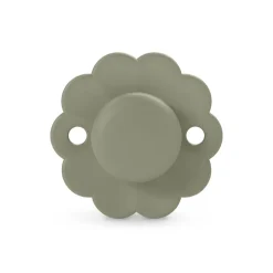 Sucette silicone réversible SX Pro 6-18M Wonder hedge green
