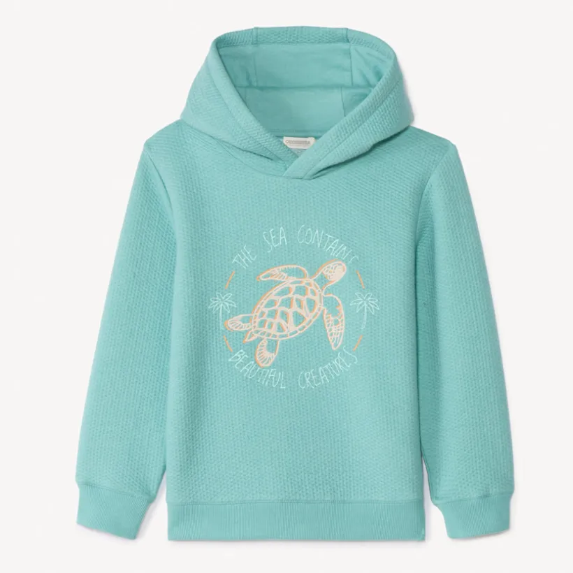 Sweat à capuche en molleton avec broderie fantaisie pour garçon