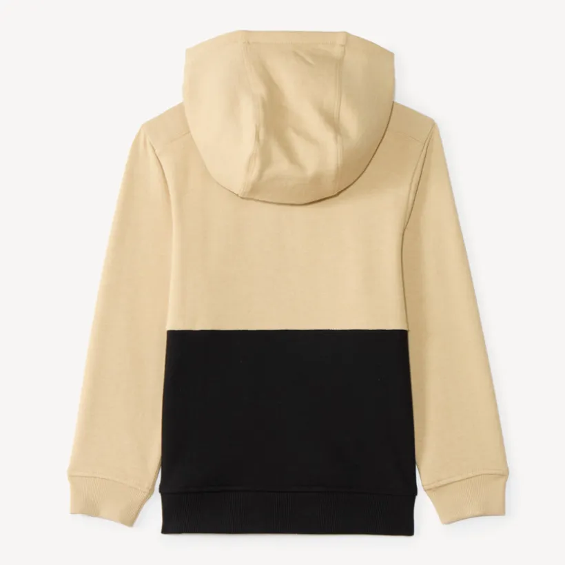 Sweat à capuche garçon col zippé bicolore