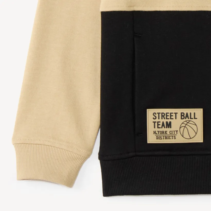 Sweat à capuche garçon col zippé bicolore