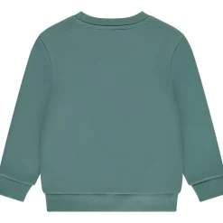 Sweat en molleton gratté uni pour garçon