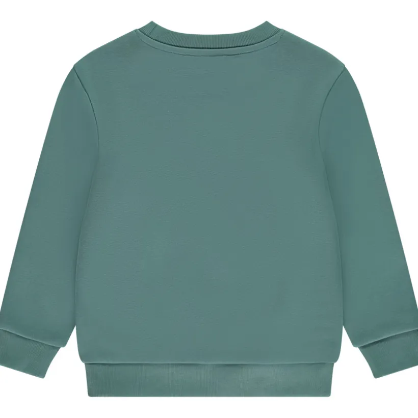 Sweat en molleton gratté uni pour garçon
