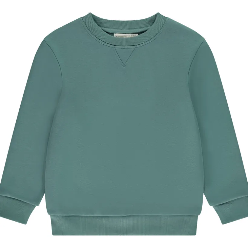 Sweat en molleton gratté uni pour garçon