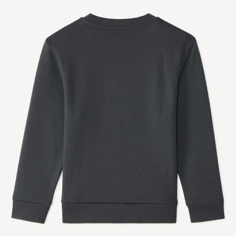 Sweat en molleton print fantaisie pour garçon