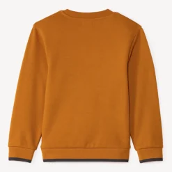 Sweat molleton avec animal surpiqué pour garçon