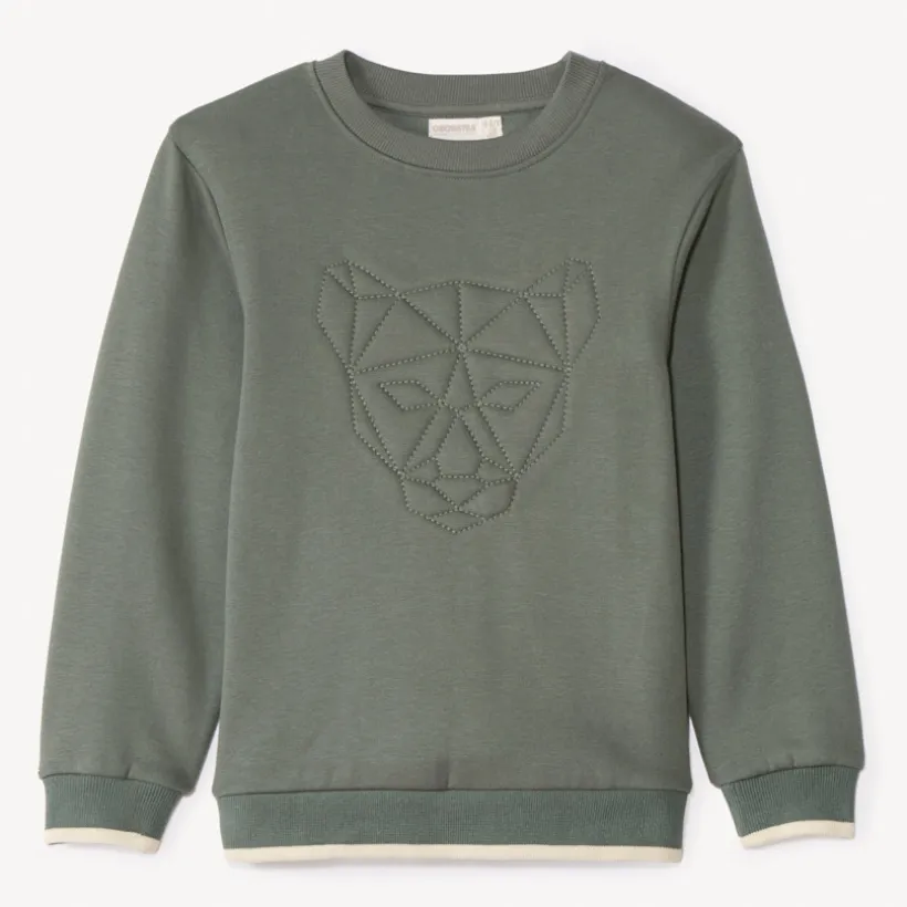 Sweat molleton avec animal surpiqué pour garçon