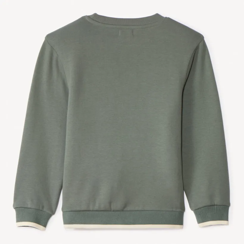 Sweat molleton avec animal surpiqué pour garçon