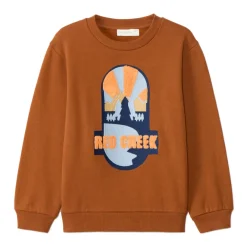 Sweat molleton avec broderie fantaisie pour garçon