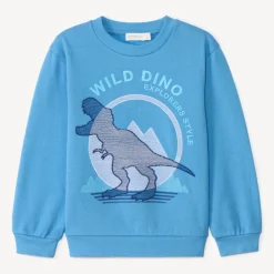 Sweat molleton brodé T-Rex pour garçon