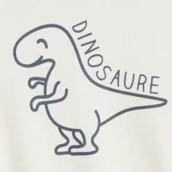Sweat molleton oversize print dino pour bébé garçon