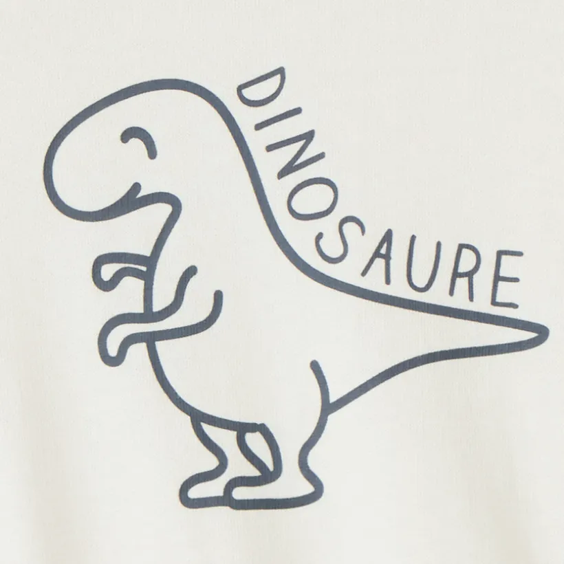 Sweat molleton oversize print dino pour bébé garçon
