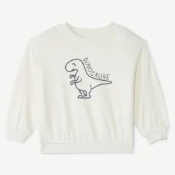 Sweat molleton oversize print dino pour bébé garçon