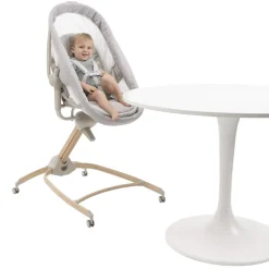 Transat- Berceau Baby Hug Armonia 4-en-1 Scandinavian